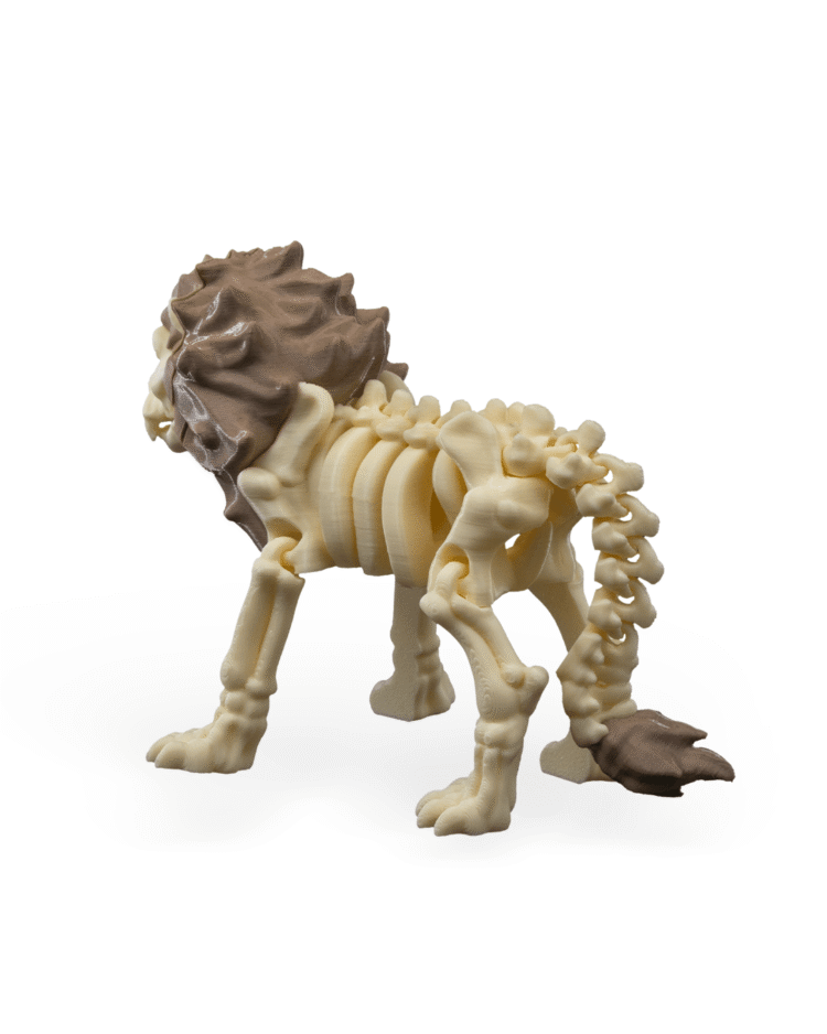Skeleton Lion - Image 3
