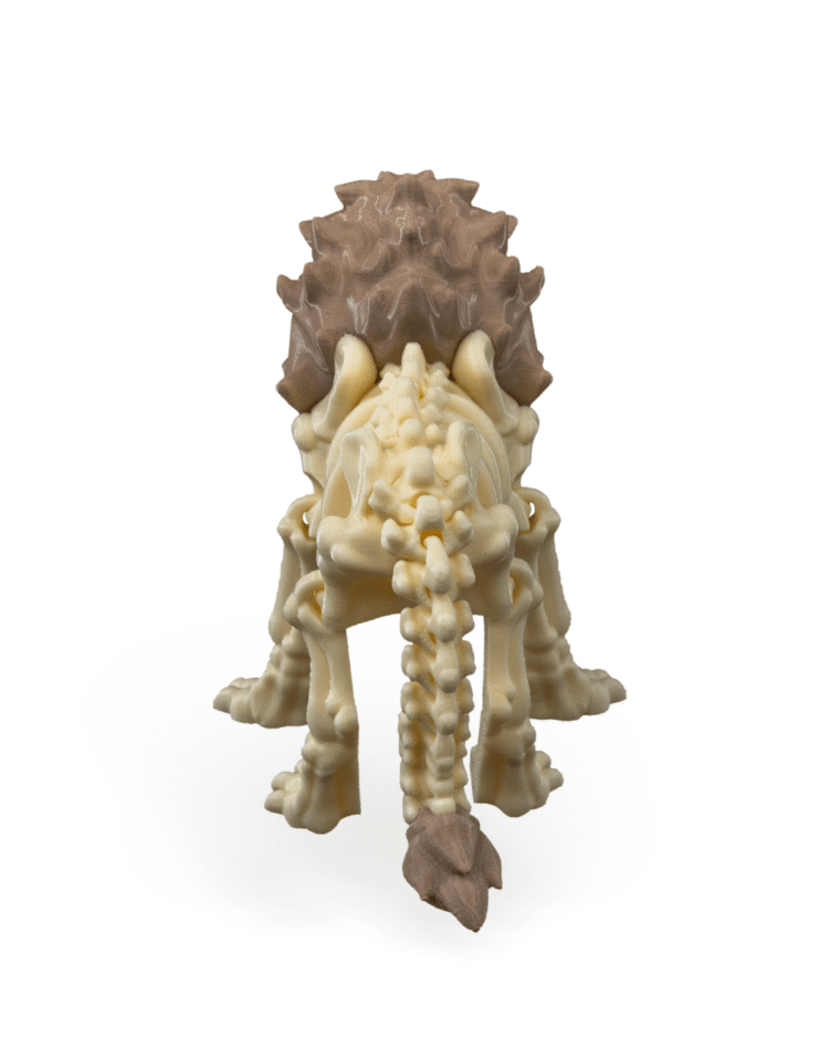 Skeleton Lion - Image 4