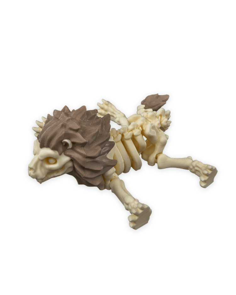 Skeleton Lion - Image 5