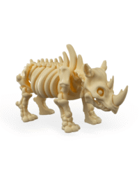 Skeleton Rhino