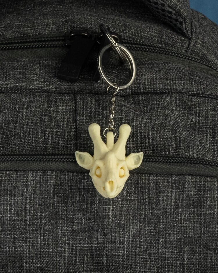 Skeleton Giraffe - Image 2