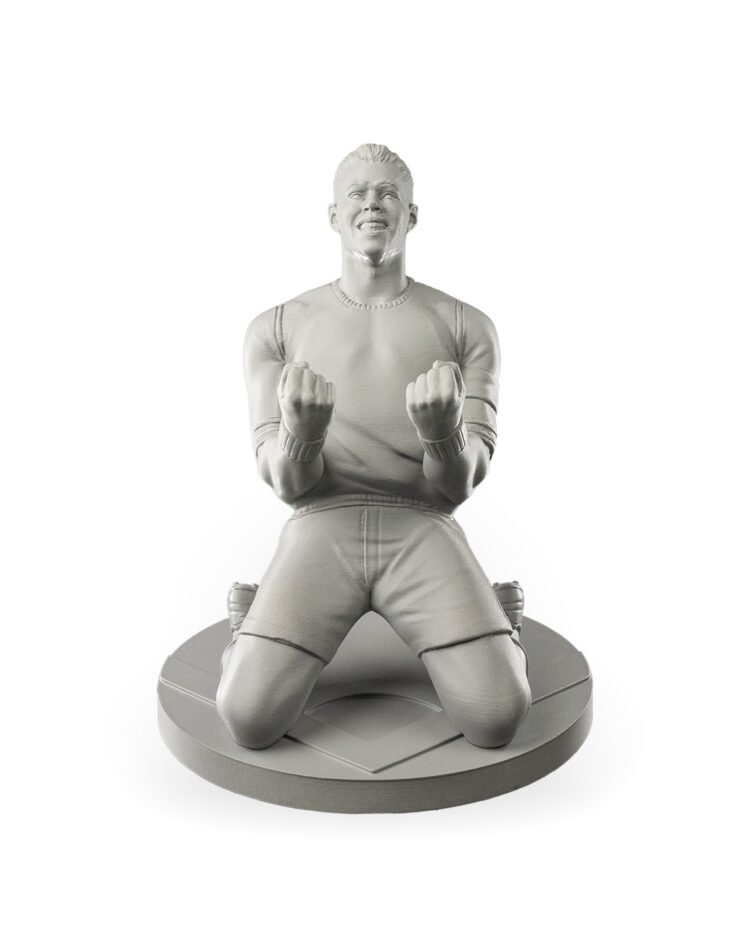 Victory Pose - Image 5