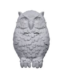Day Owl Wall Light