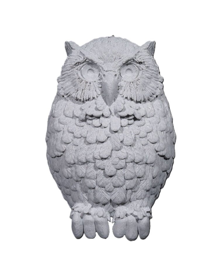 Day Owl Wall Light