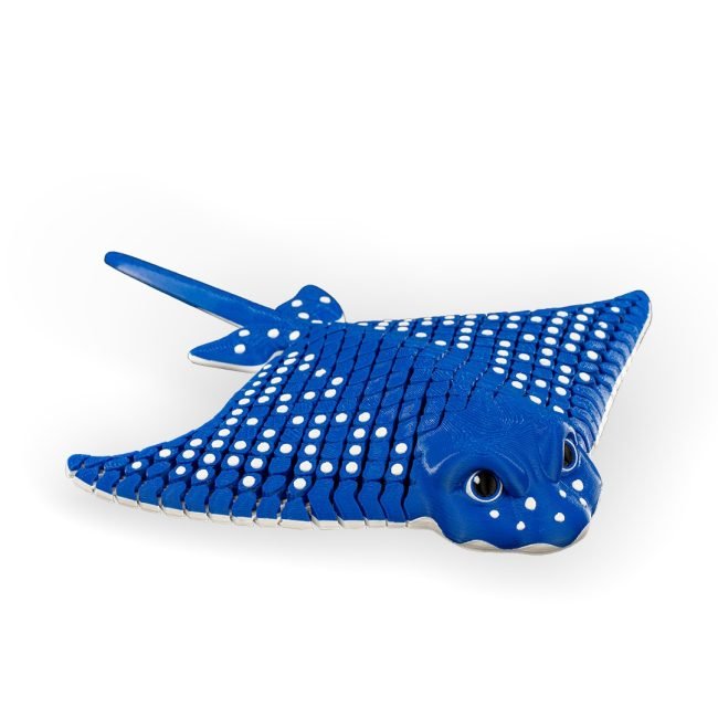 Igor Spotted Eagle Ray_1